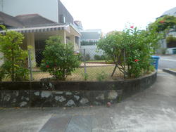 Serangoon Garden Estate (D19), Terrace #124646082
